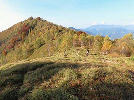 Alla Madonnina del Costone (1195 m) in veste autunnale da Salmezza-21ott24 - FOTOGALLERY